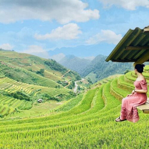 Mù Cang Chải